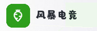 合作伙伴
